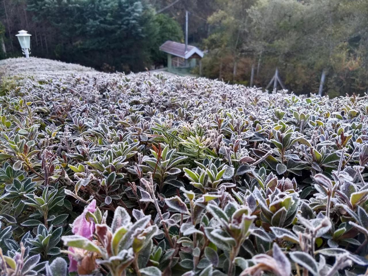 Recantto Do Divino B&B Campos do Jordao Dış mekan fotoğraf